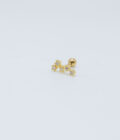 Piercing constelacion 5 estrellas dorado / Acero Inoxidable