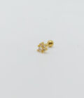 Piercing Huella Pet dorada petit / Acero Inoxidable